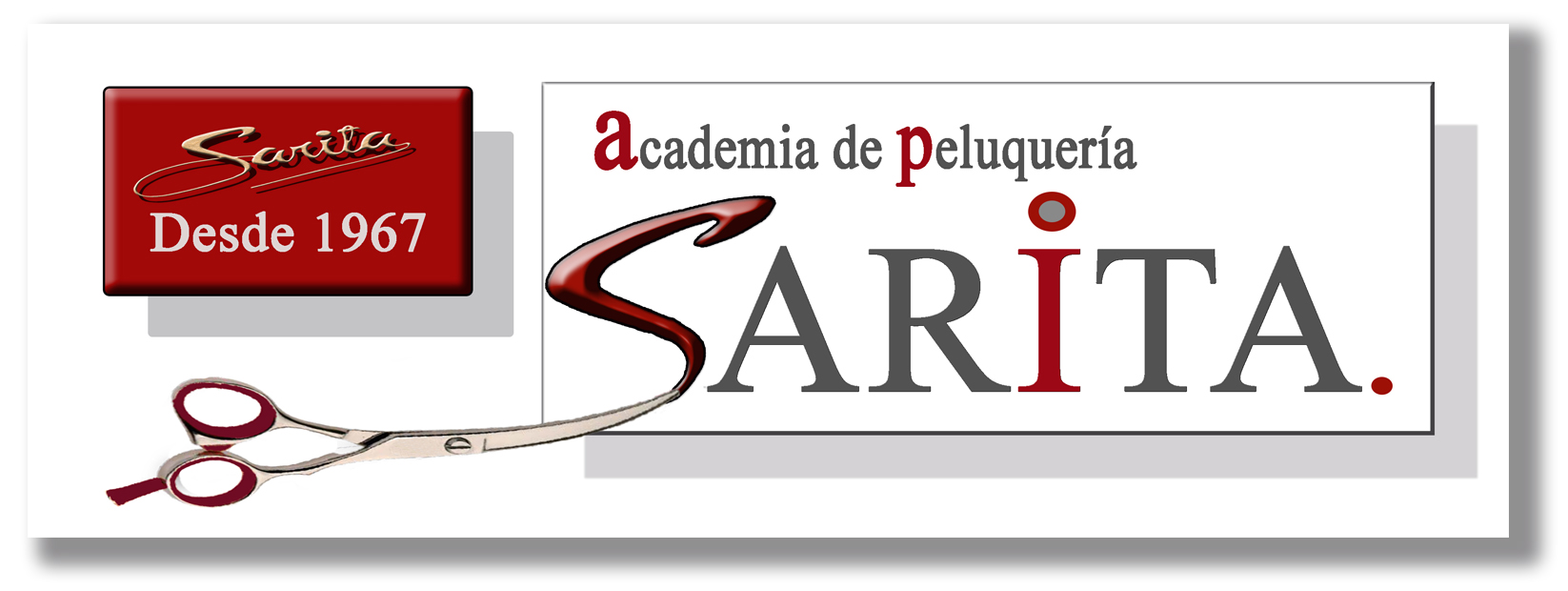 Academia Sarita